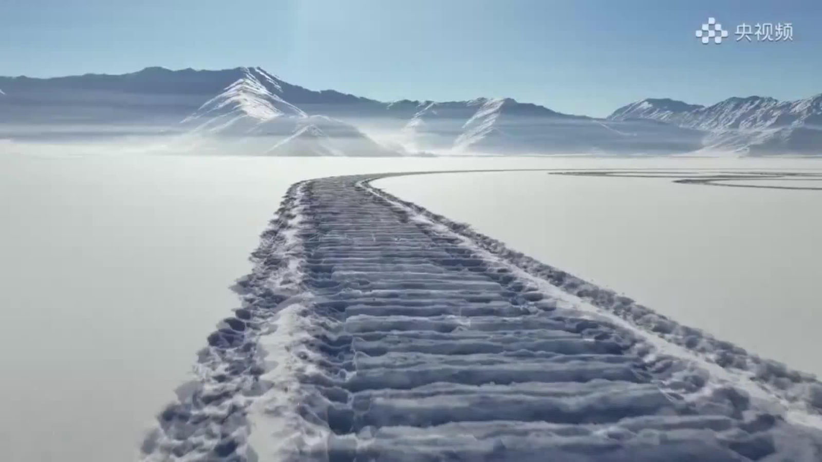 va humanoide chino nieve