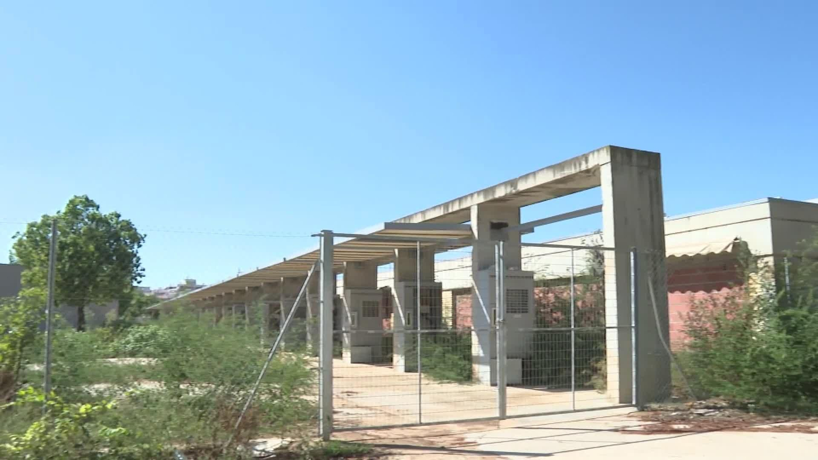 web teleasistencia dana