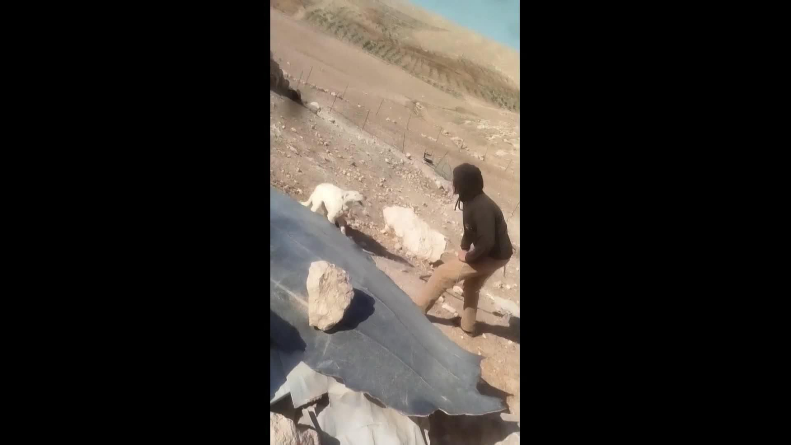 va cisjordania ataque palestinos