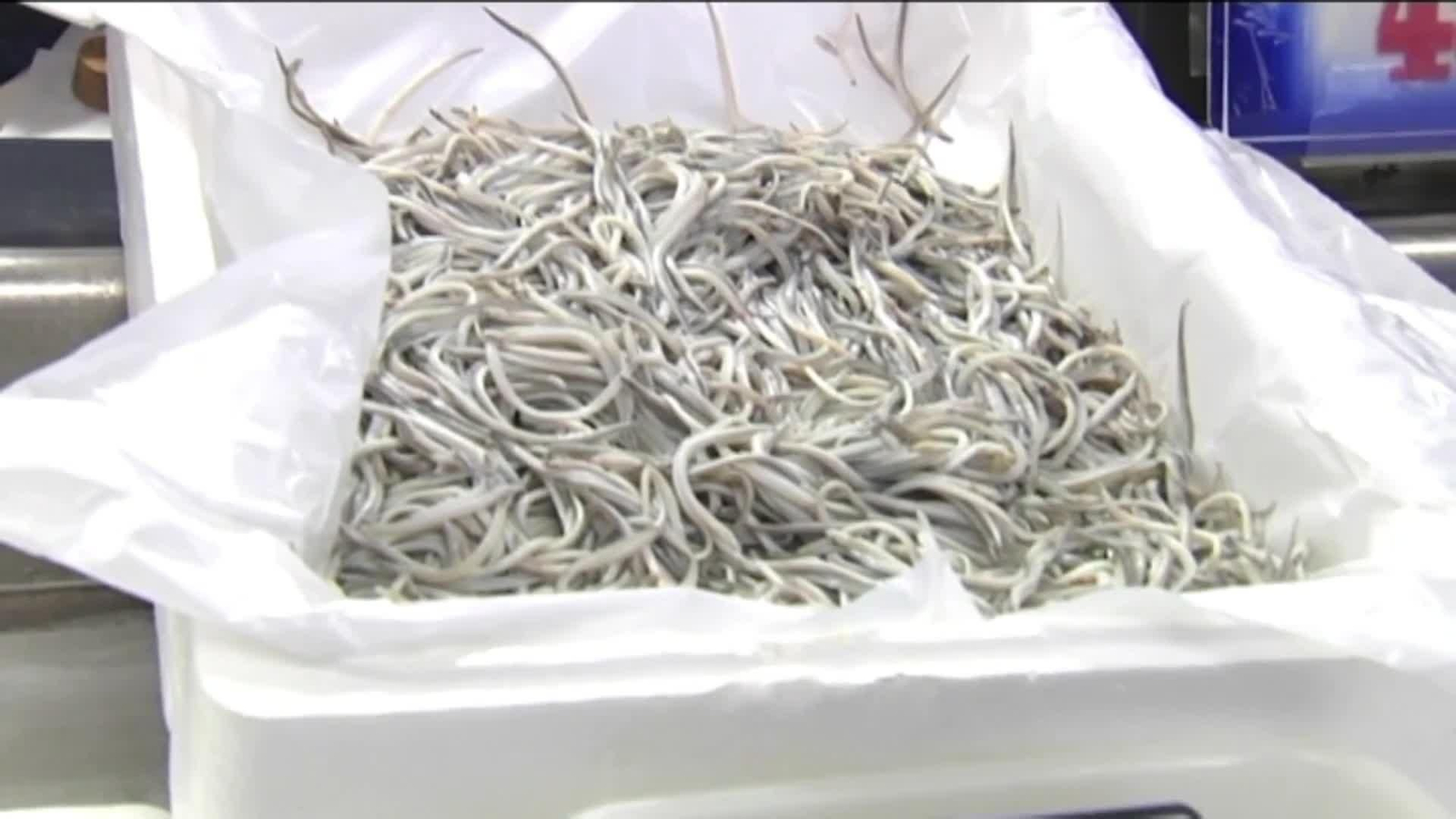 web polemica anguleros euskadi