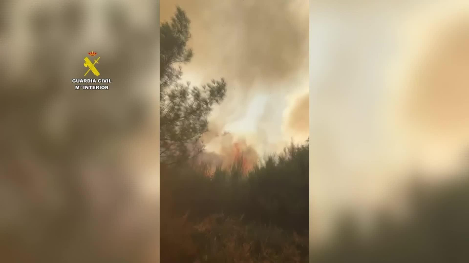 M017-IMAGENES GCIVIL INCENDIO CASTRELO DO VAL