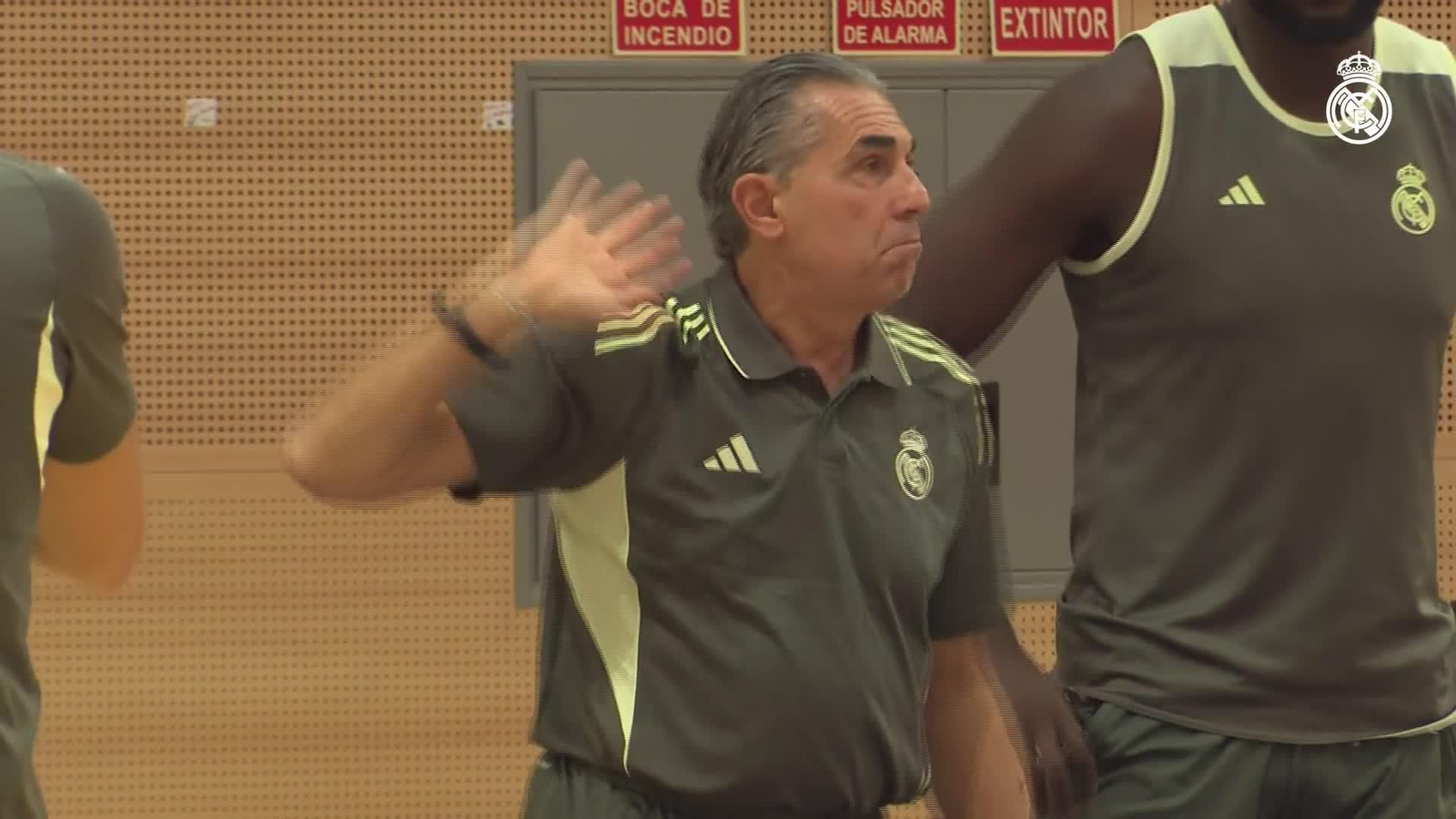X010-MADRID SCARIOLO ENTRENO RMADRID BALONCESTO