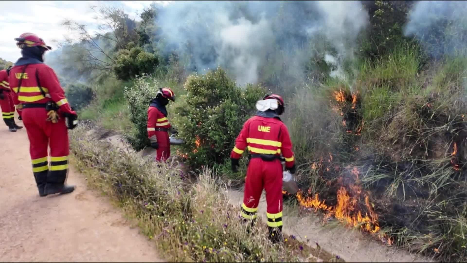 web prevencion incendios