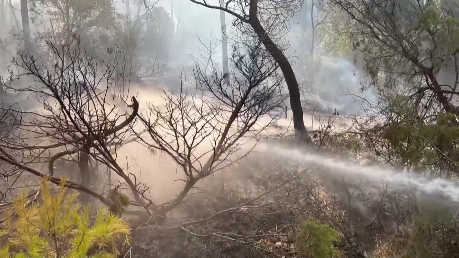 va situacion incendio en francia