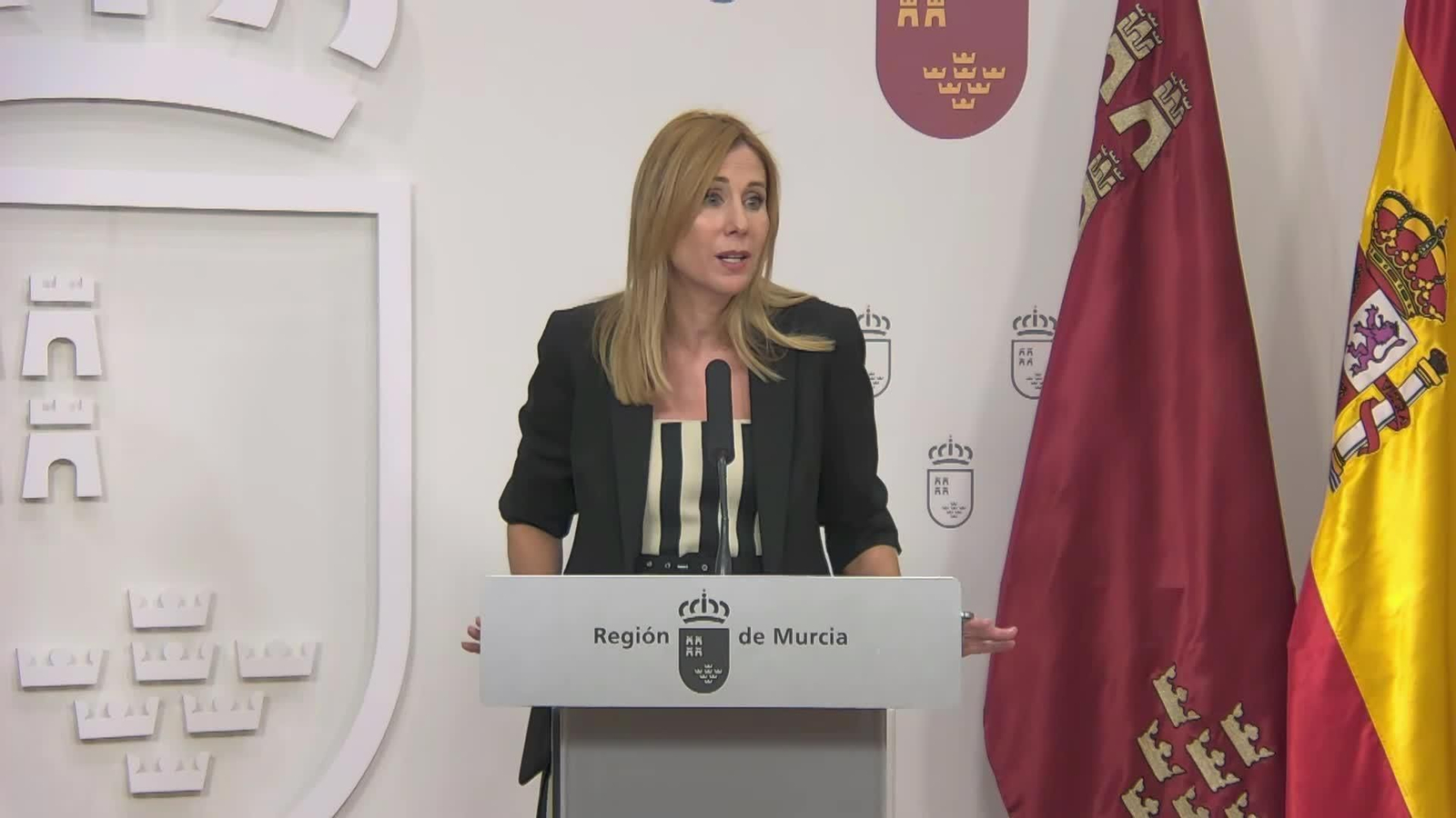 va murcia consejo gobierno OK