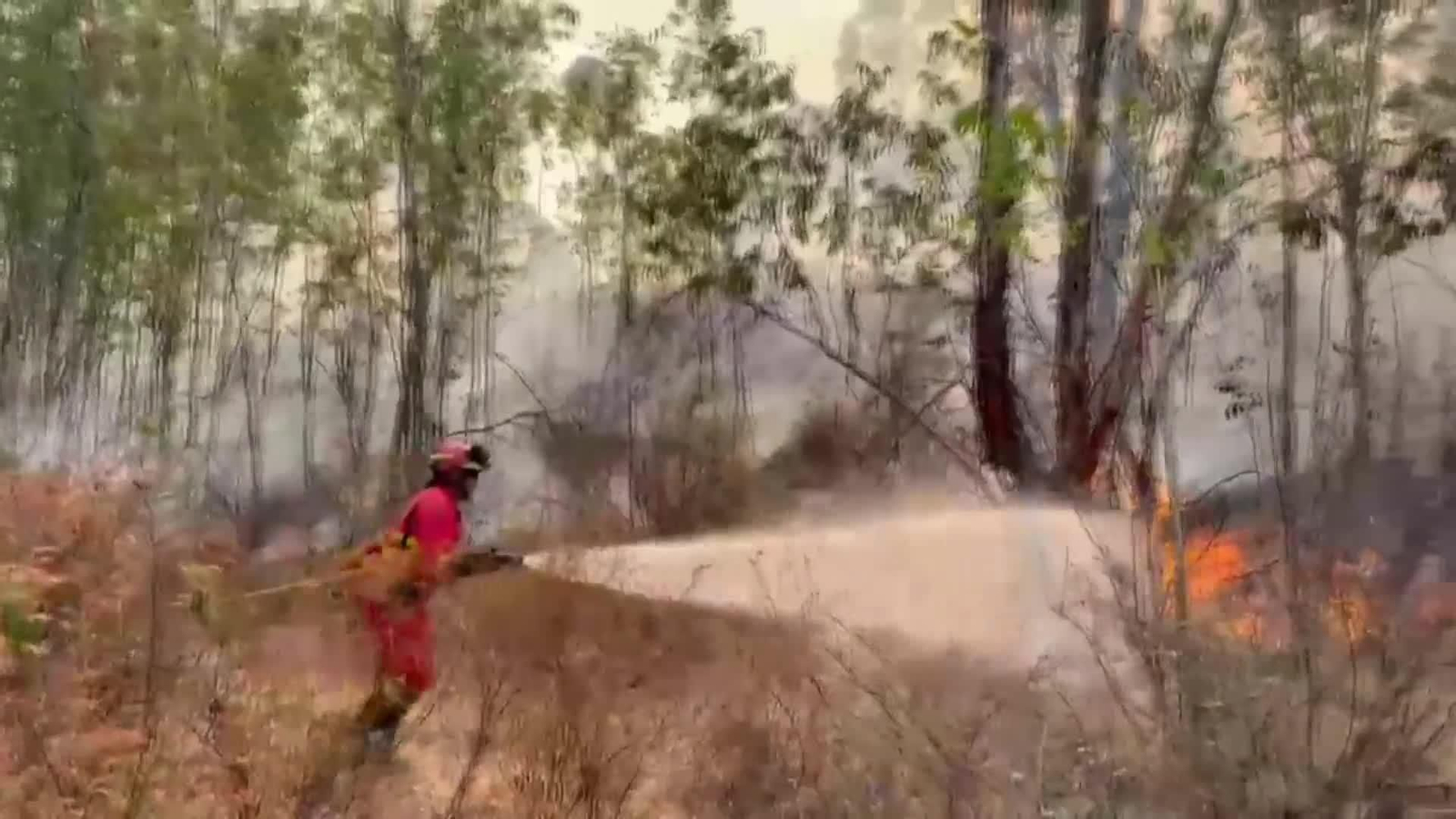 web incendios en españa