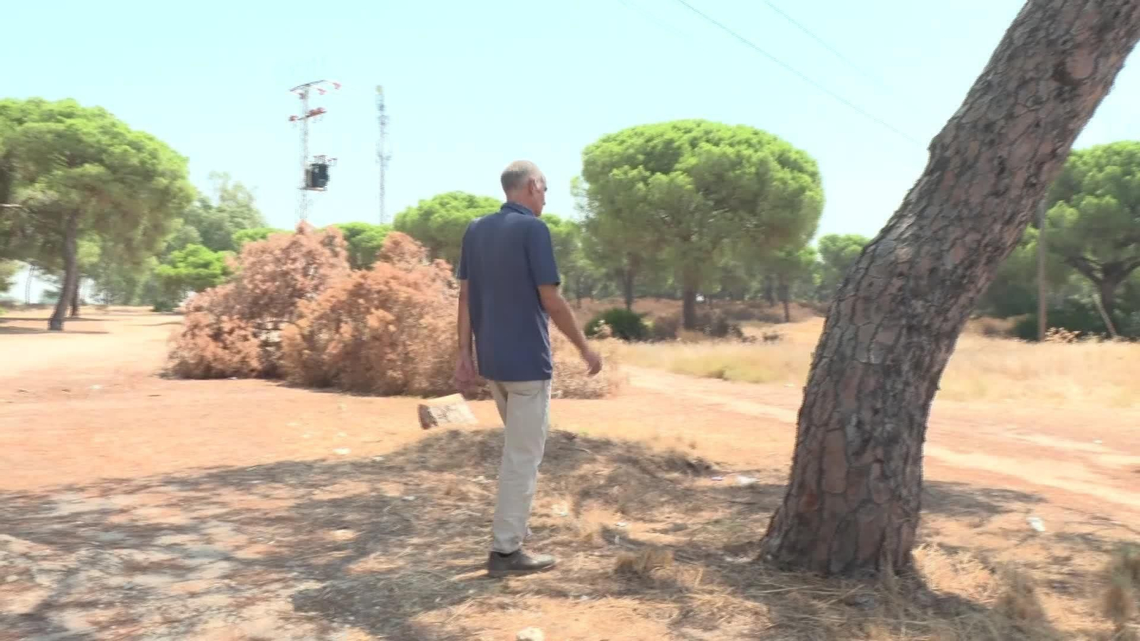 M001-EDI VARIOS INCENDIOS SEXTA GENERACION