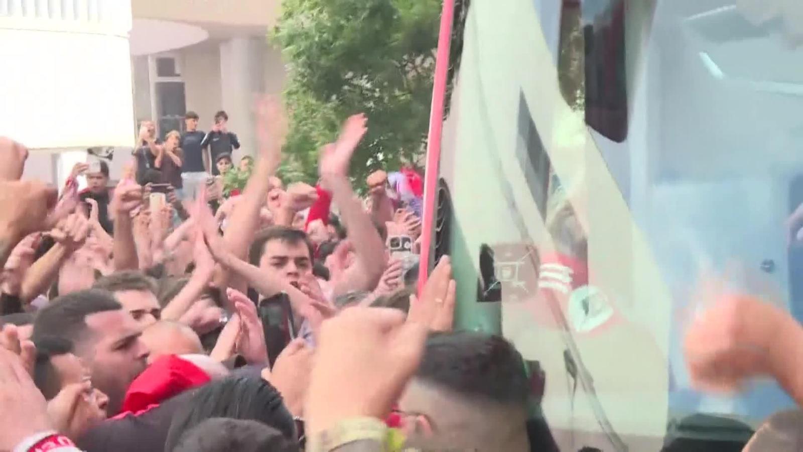 va apoyo sevillistas