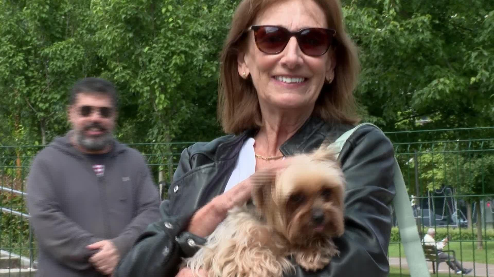 V064-EDI MADRID INFORME ANIMALES DE COMPAÑIA