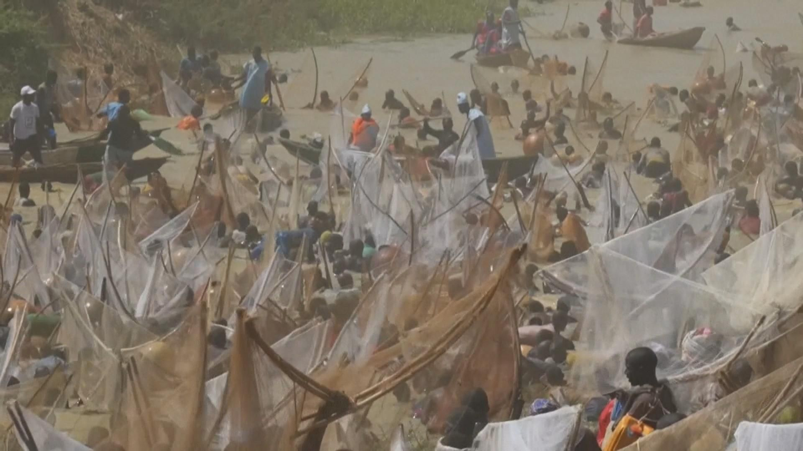 Cientos de pescadores compiten por la mayor captura en el festival de Argungu