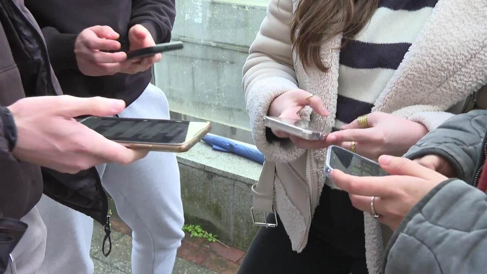 web control z y moviles