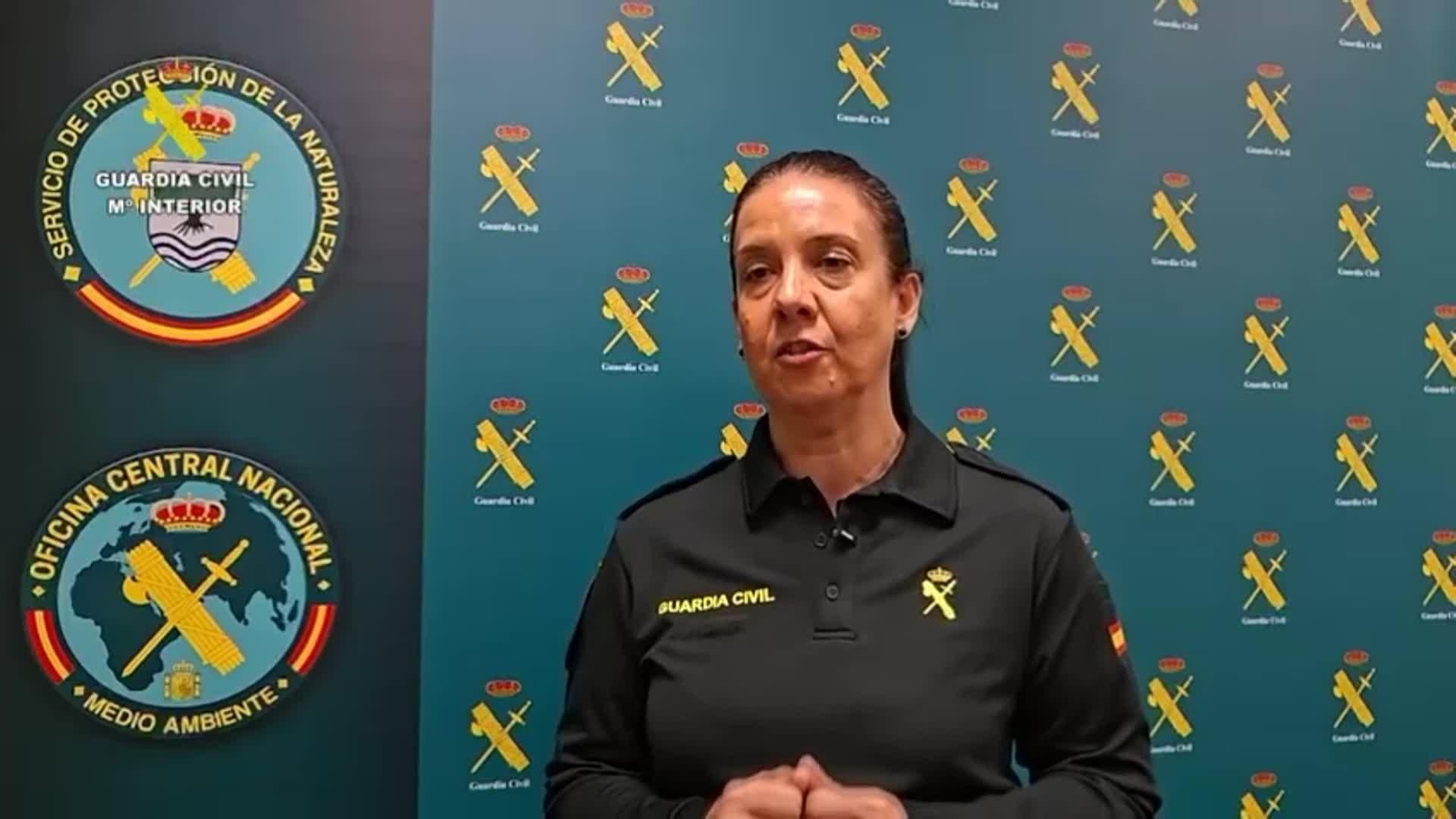 va caza ilegal va caza ilegal