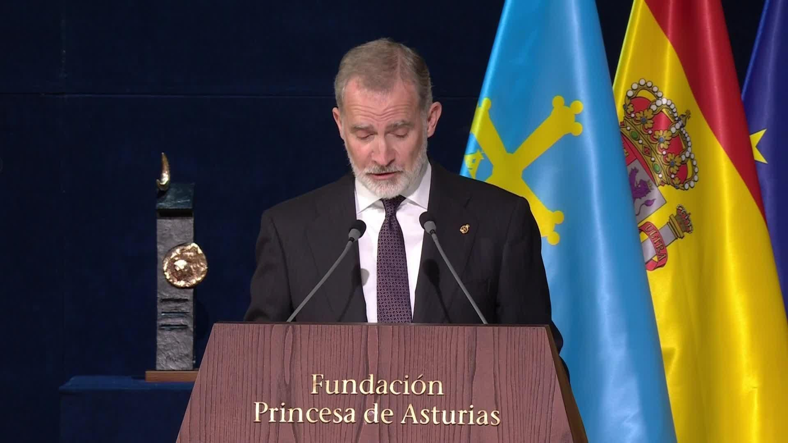 va discurso felipe vi