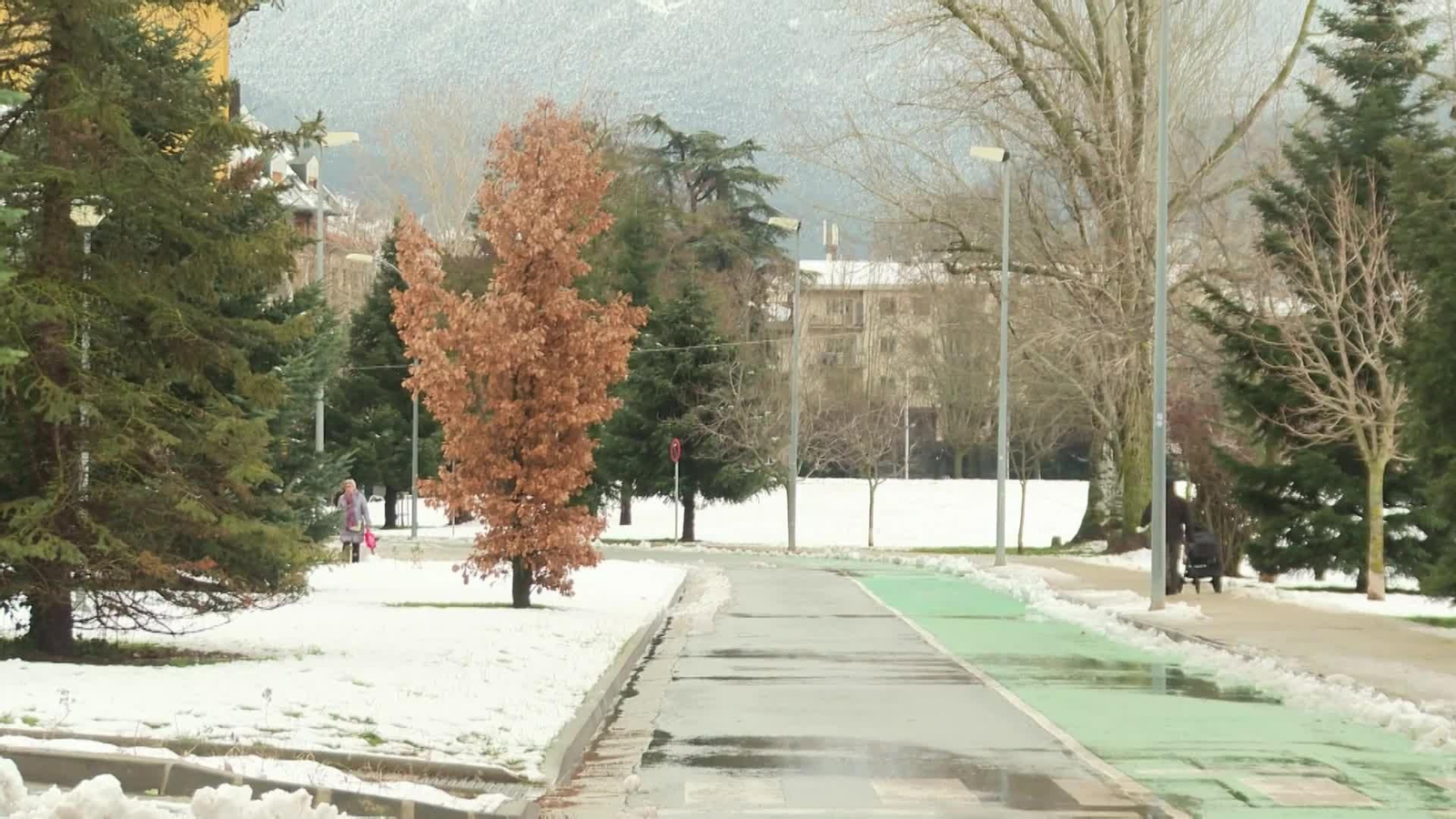 L038-HUESCA NIEVE EN JACA