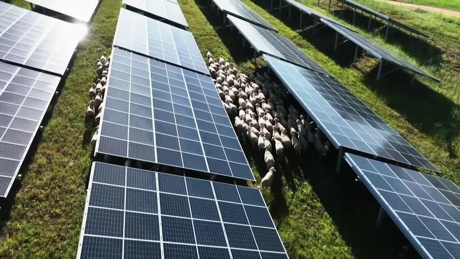 web centros de datos