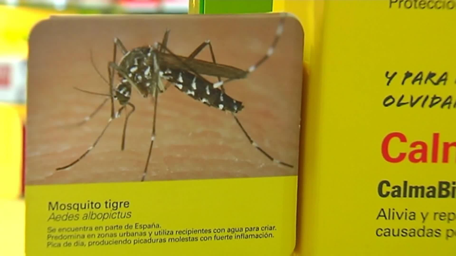 El dengue