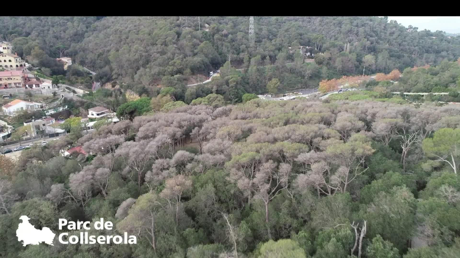 L054-EDI VARIOS ESTRÉS HÍDRICO BOSQUES