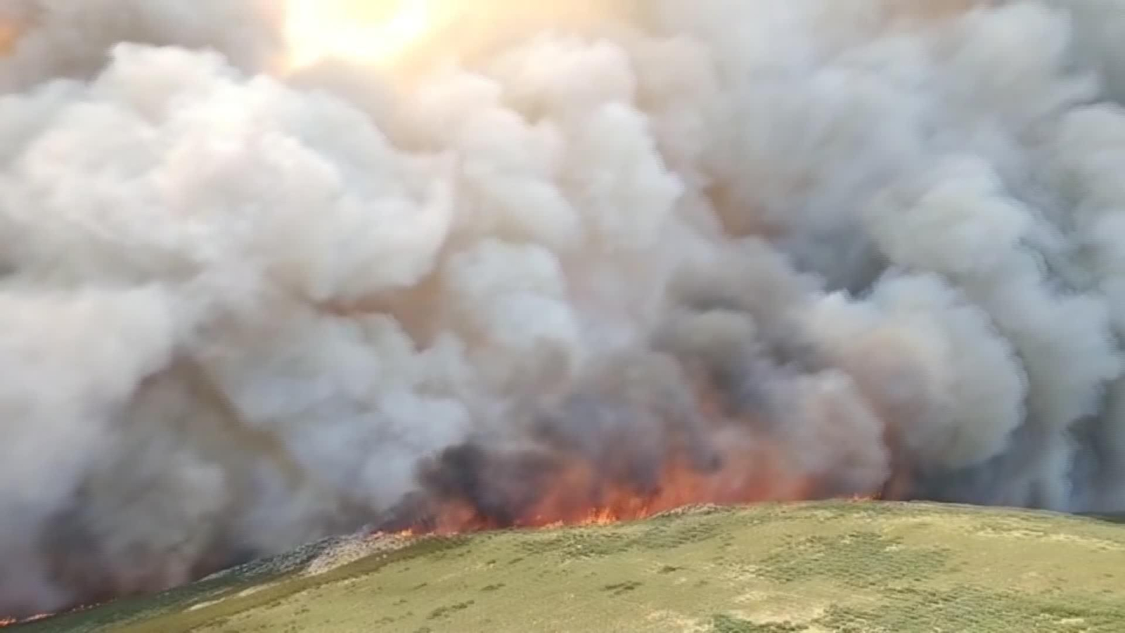 L003-EDI VARIOS PERDIDAS EN EL CAMPO POR INCENDIOS