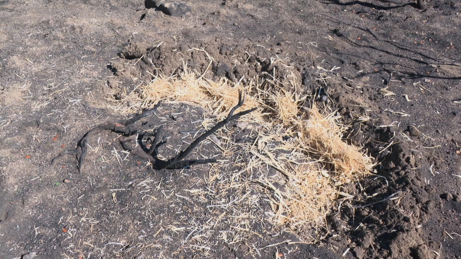 INCENDIOS