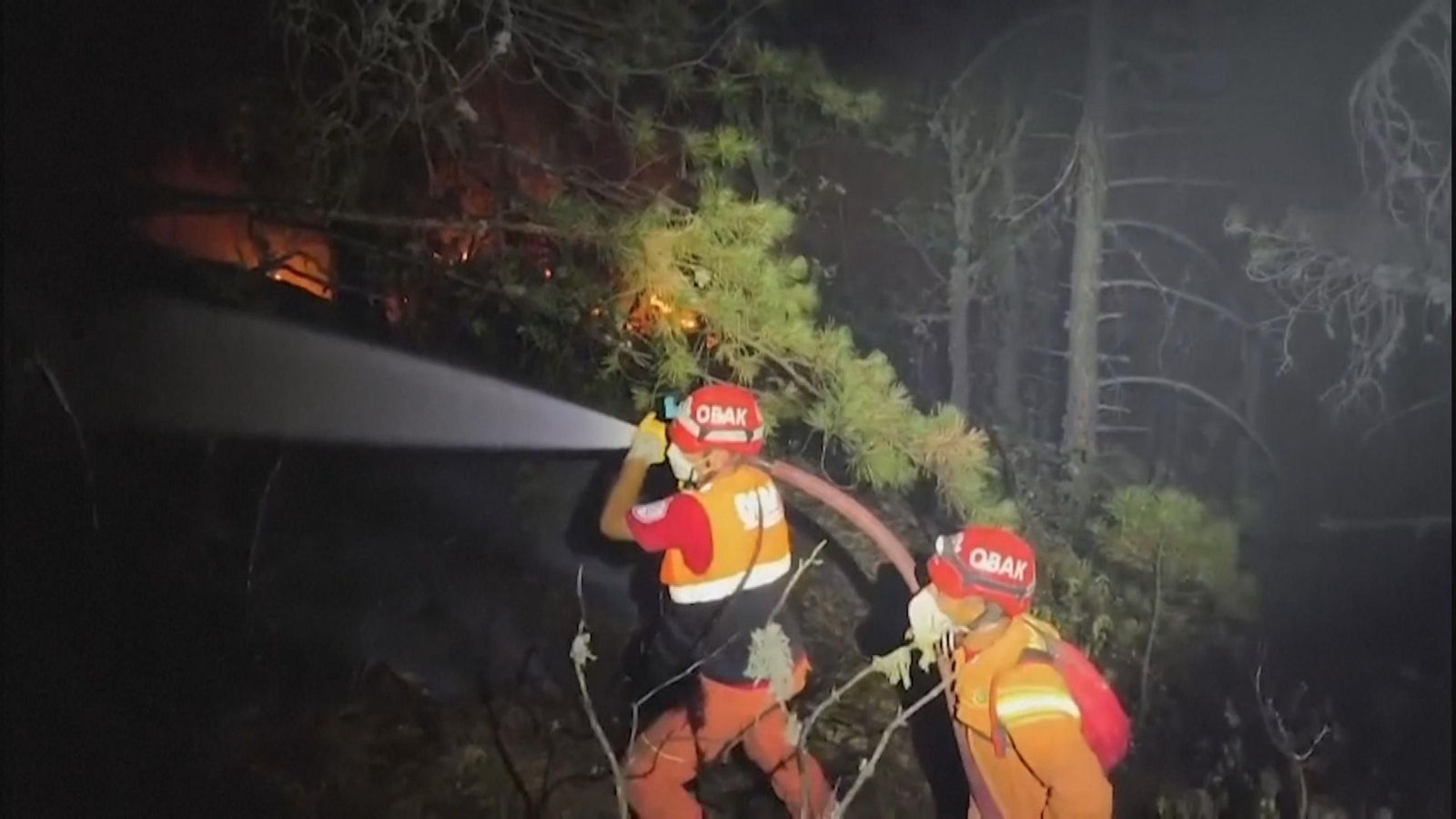 X057-TURQUIA INCENDIOS