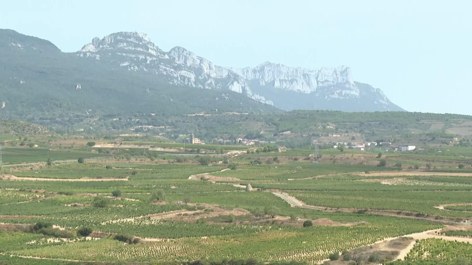 L003-EDI LA RIOJA ADELANTO VENDIMIA POR CALOR