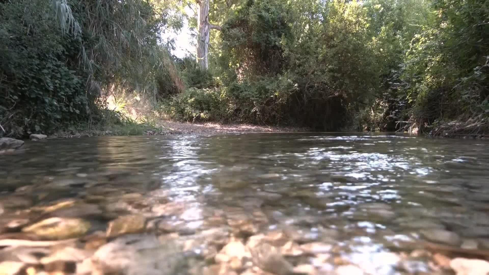web cadiz sierra ecologistas sin medianilla