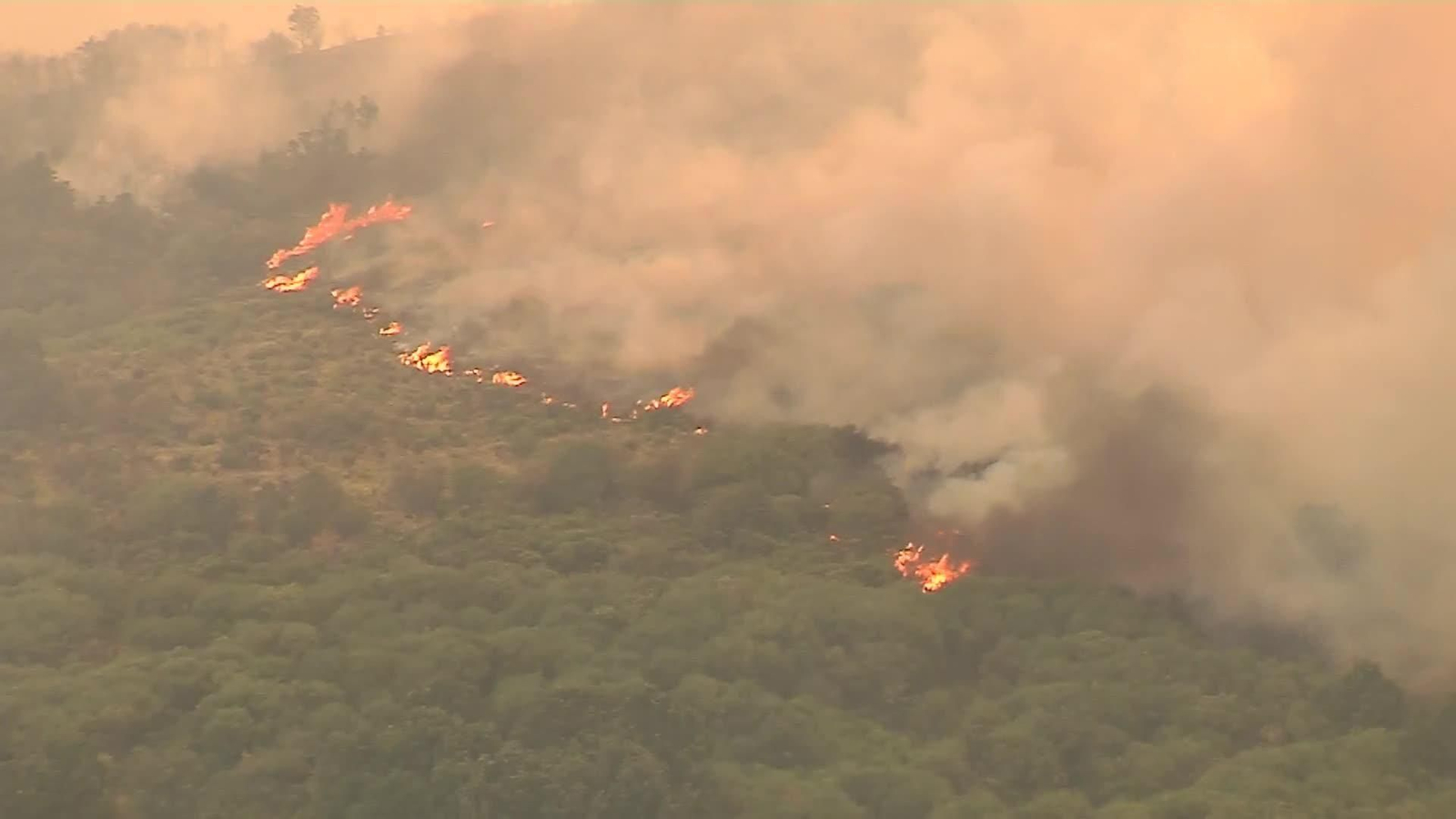 web incendios leon hoy ok