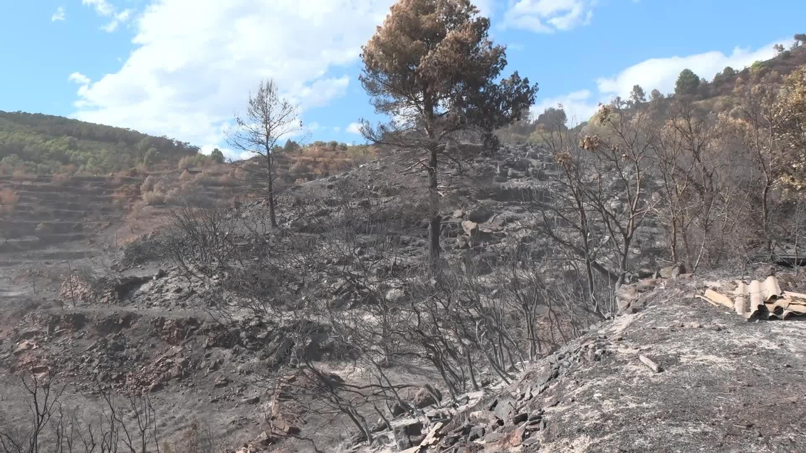 L051-VALENCIA VECINOS GATOVA TRAS INCENDIO