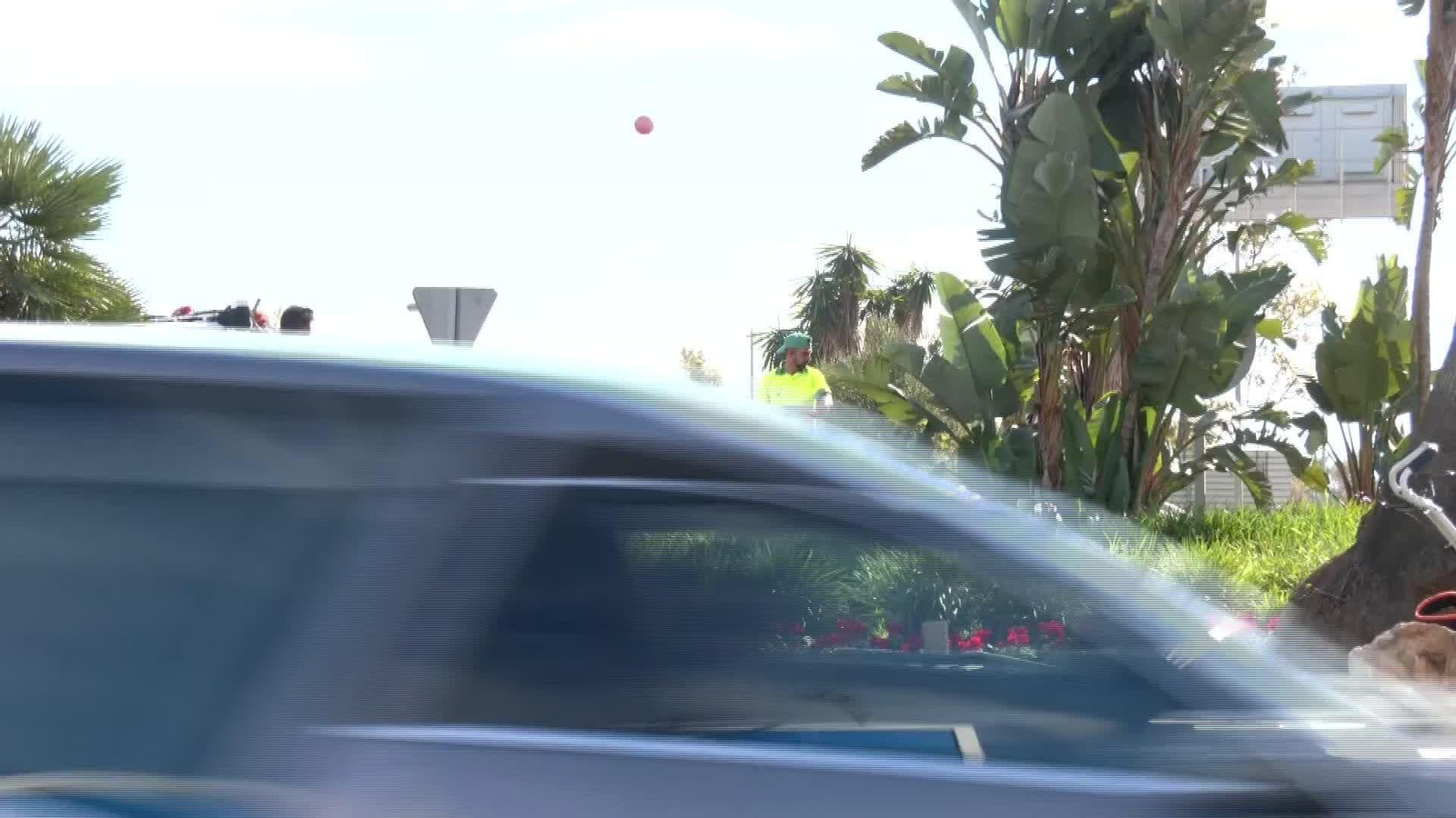 M051-MALAGA SOBREPOBLACION JABALIES