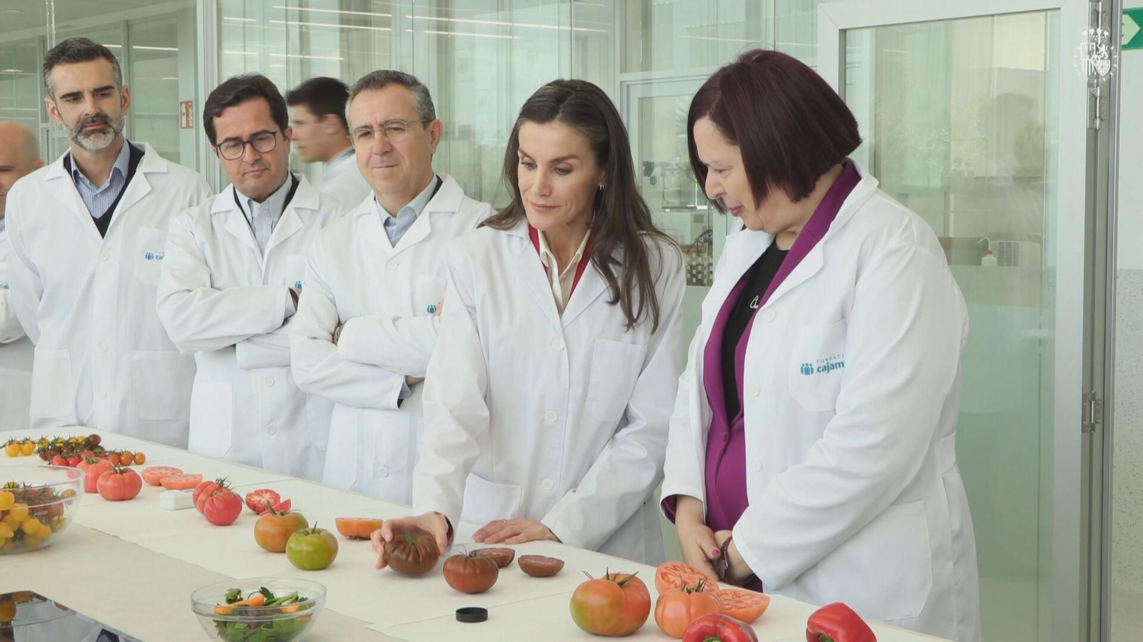 M068-ALMERIA REINA LETIZIA LAS PALMERILLAS EL EJIDO