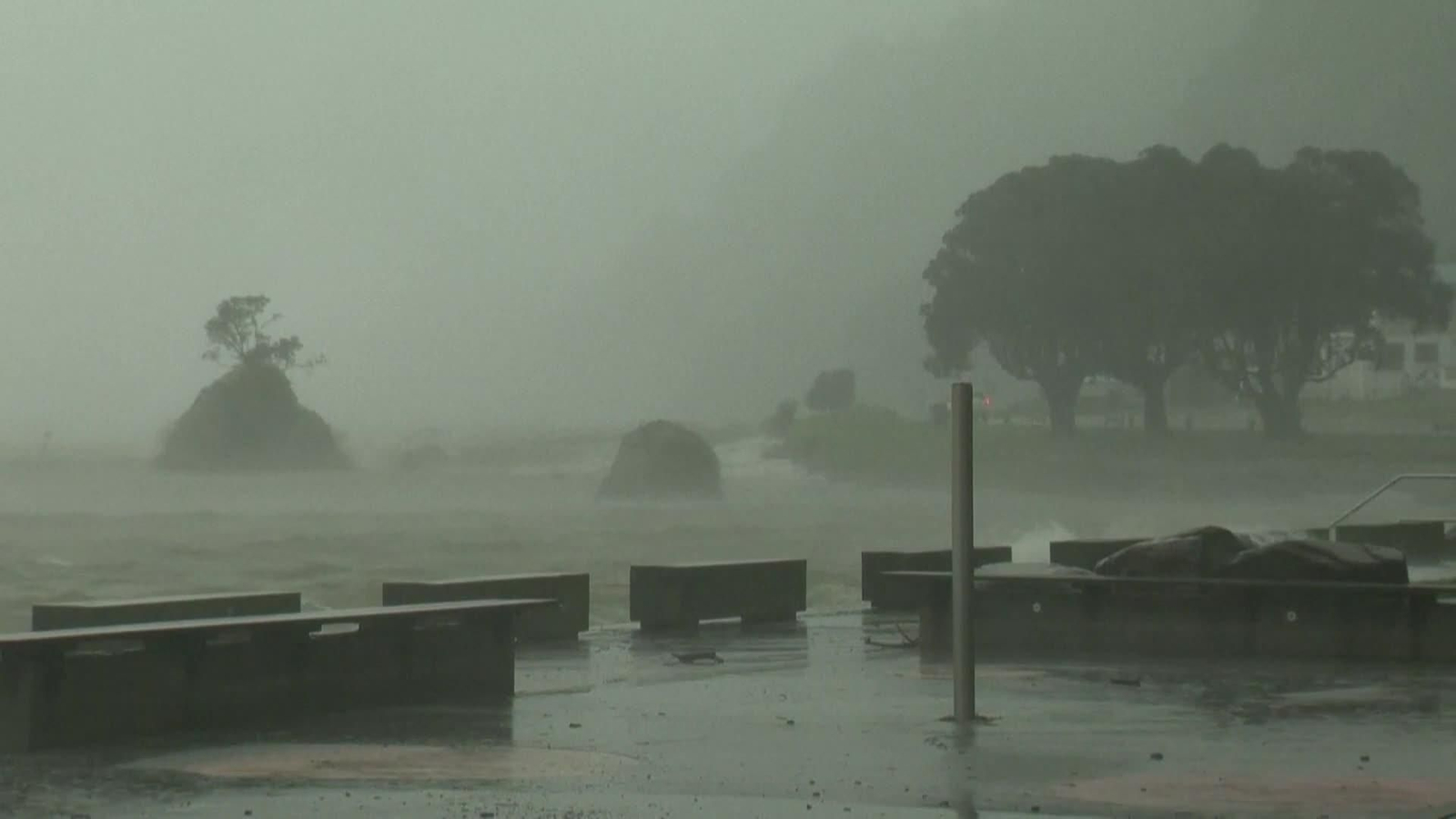 D008-NUEVA ZELANDA TEMPORAL DAÑOS