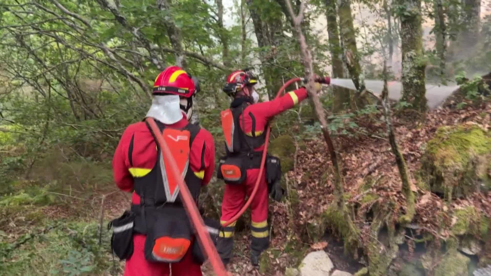 va ume portugal incendios