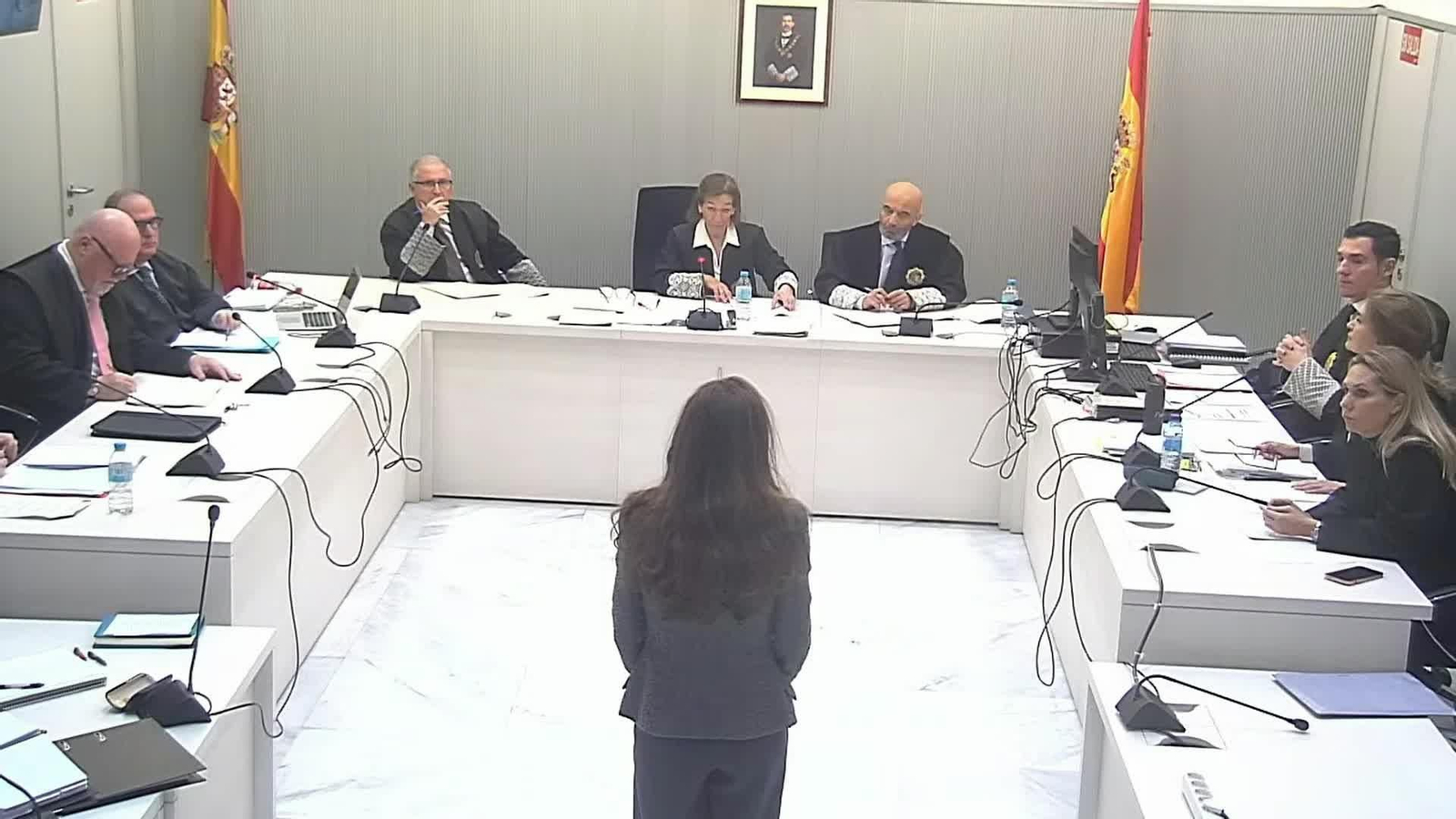 X055-EDI MADRID DECLARACION ELISA PINTO