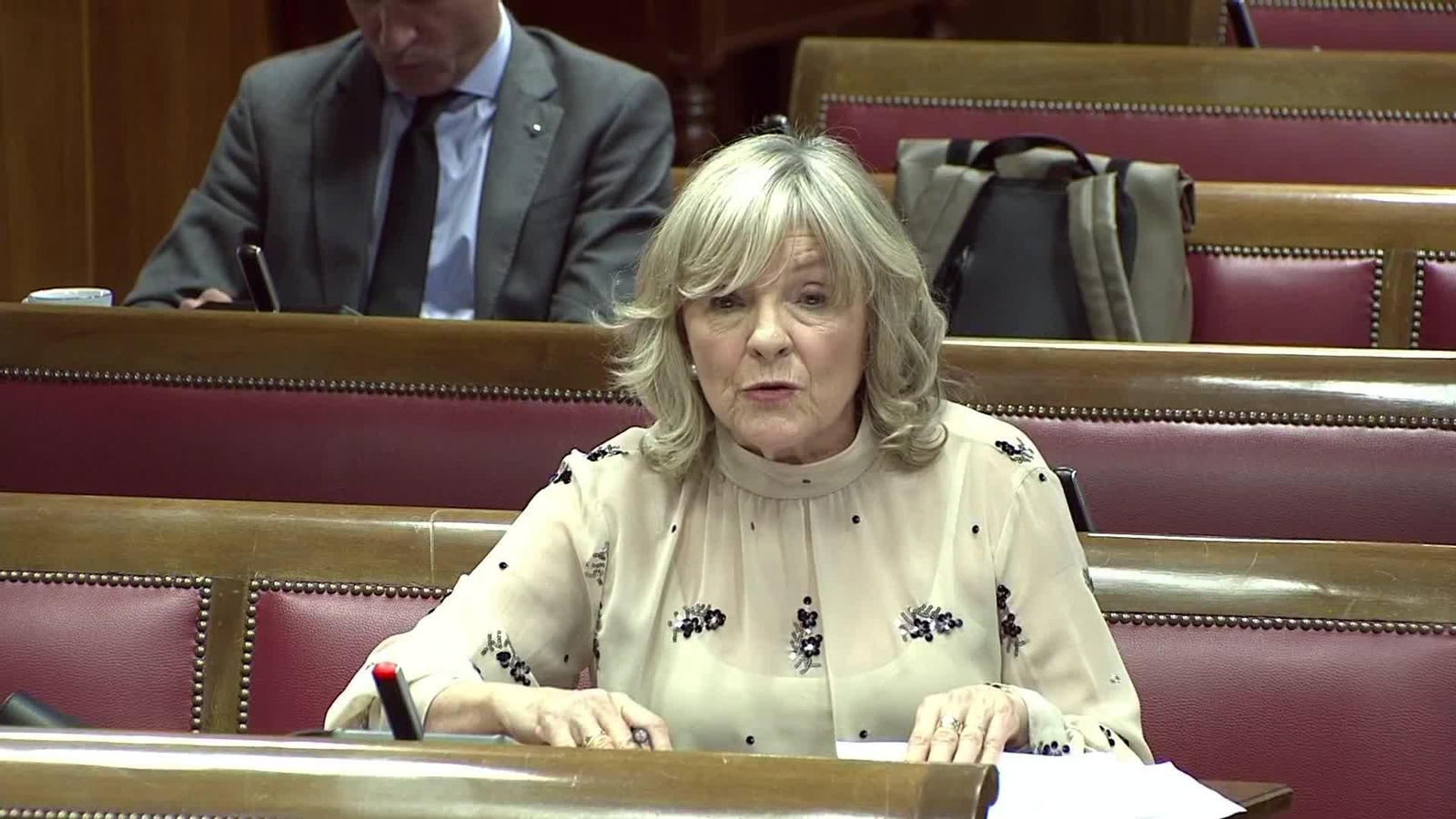 L062-SENADO SUSANA SUMELZO EN COMISION KOLDO