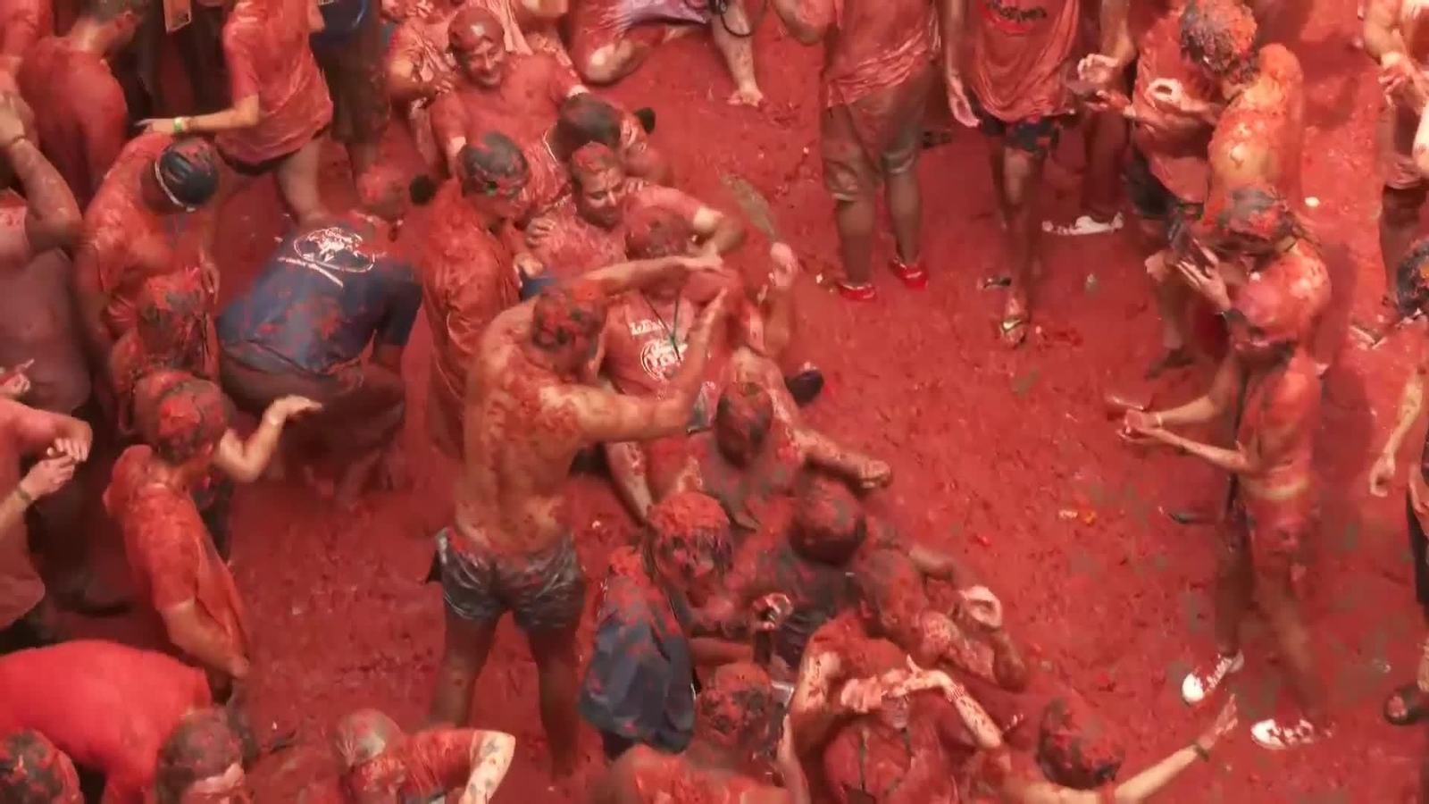 web tomatina ok