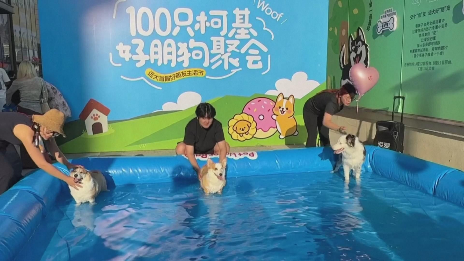 2026 07 20T061433Z 1 LWD001K2AZA4Z RTRWNEV C 1652 CHINA NEWS SERVICE.MP4 frame 29
