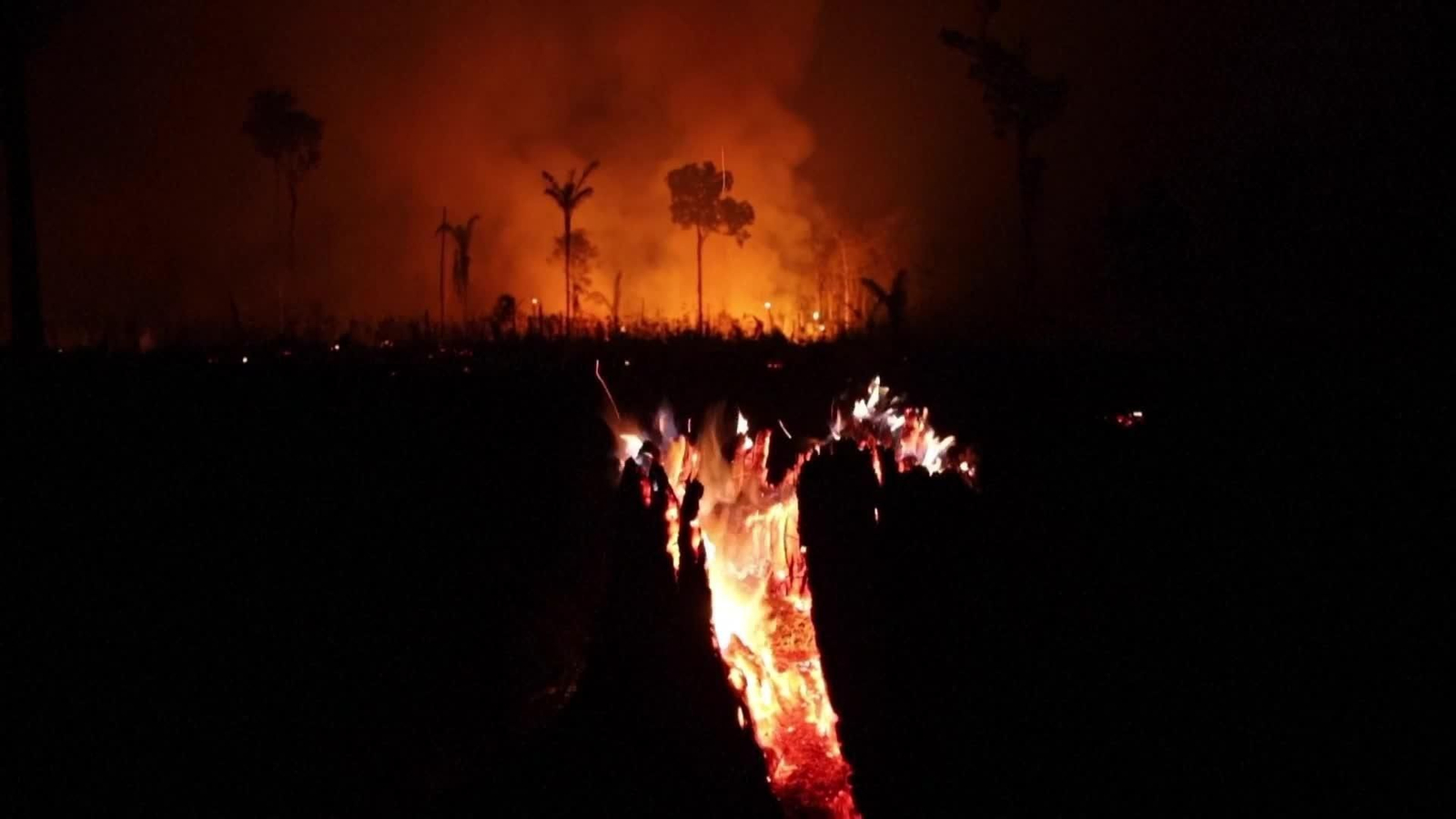 va incendio amazonas