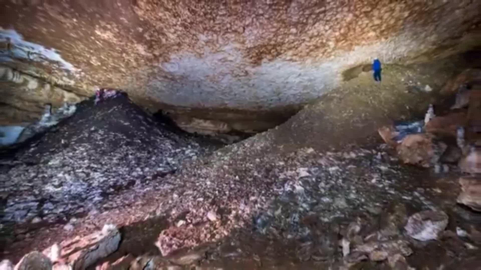 M031-NAVARRA HALLAZGO BISONTE URBASA