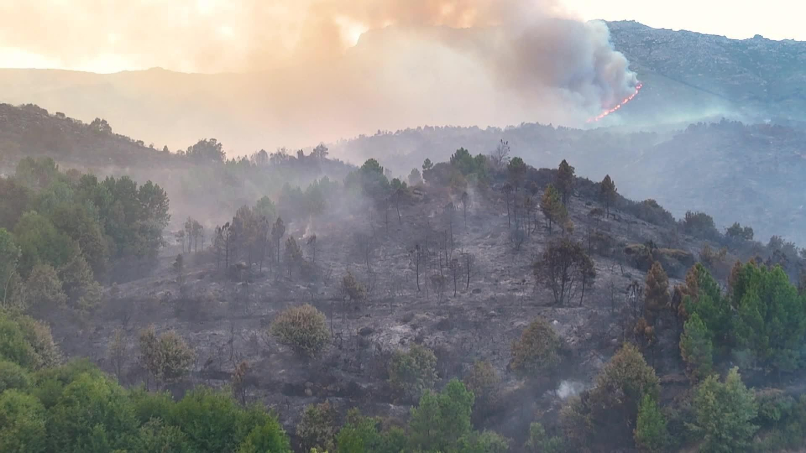 X041-AVILA IMAGENES DRON INCENDIO