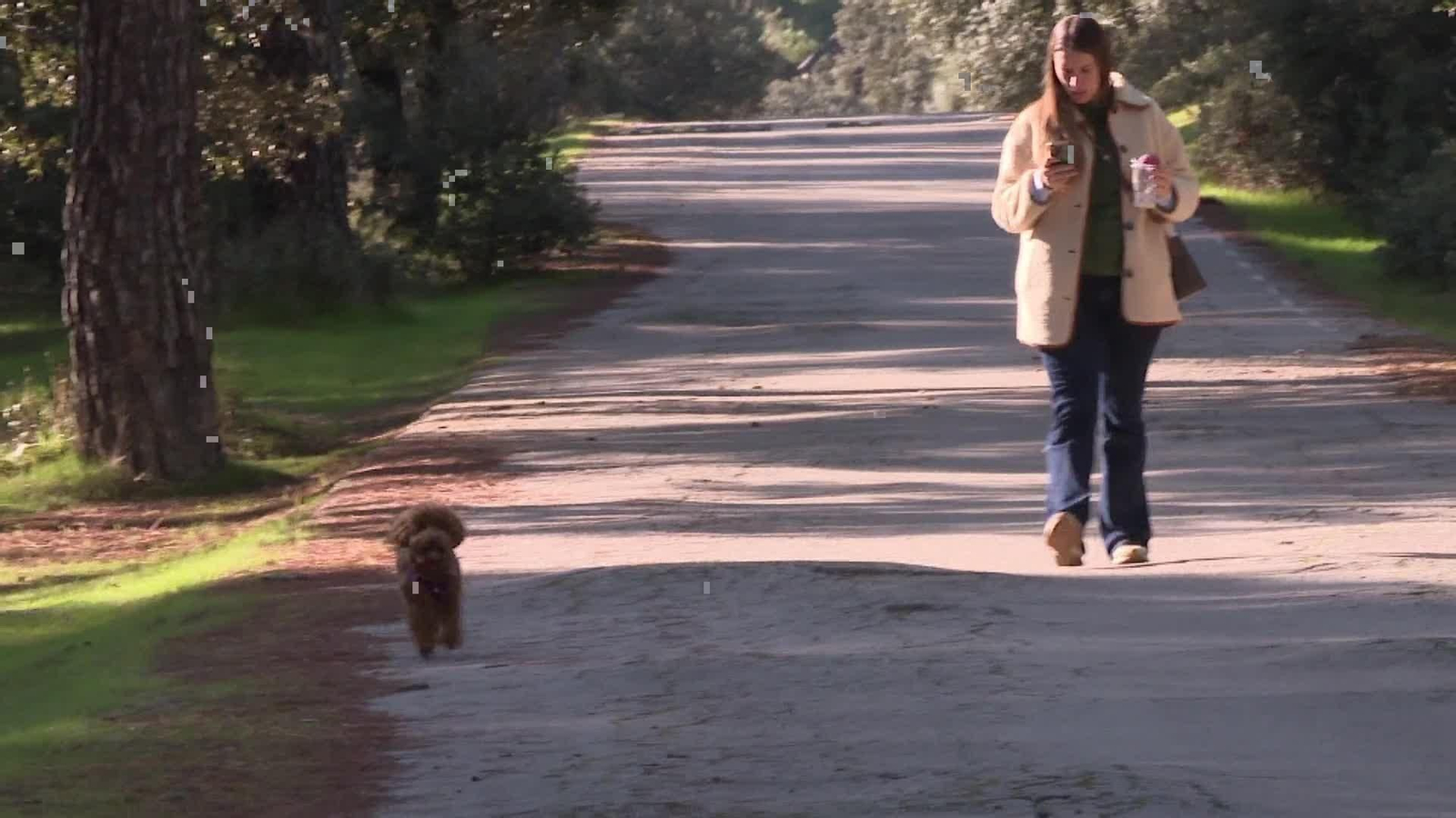 web riesgos gripe aviar