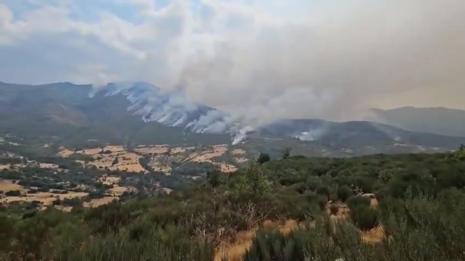 web incendio extremadura tarde