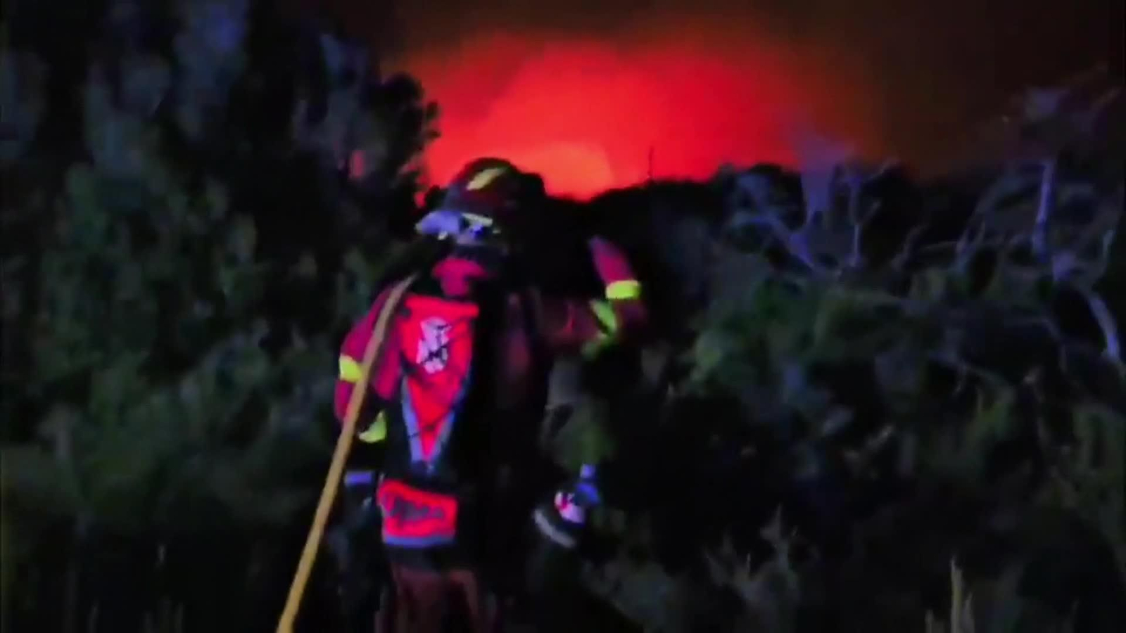 web incendio ores