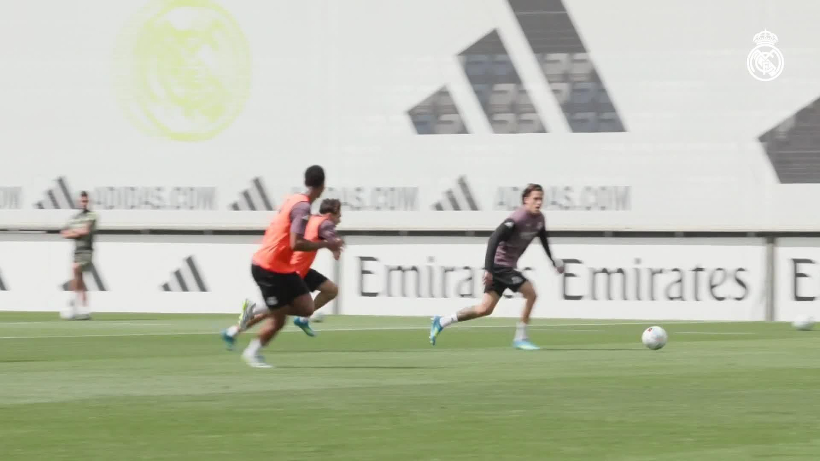 va entrenamiento rm