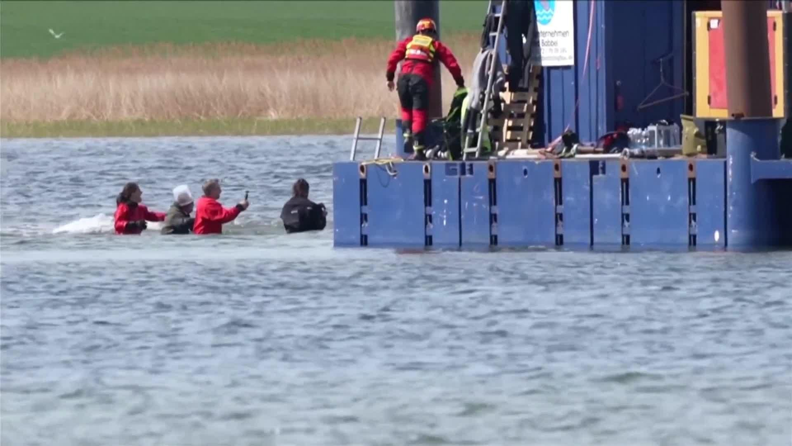 va alemania ballena jorobada timmy