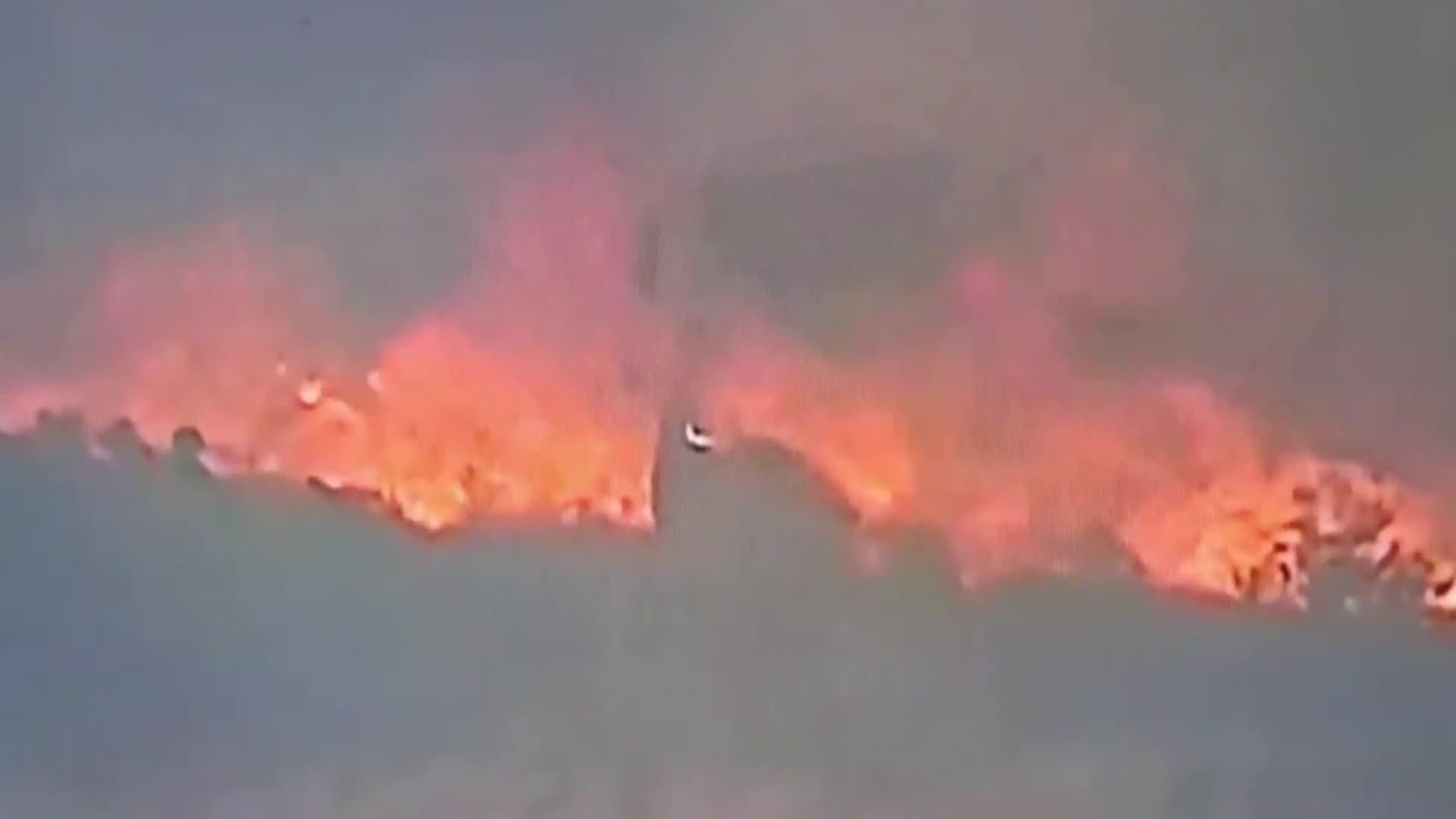 web portugal bomberos
