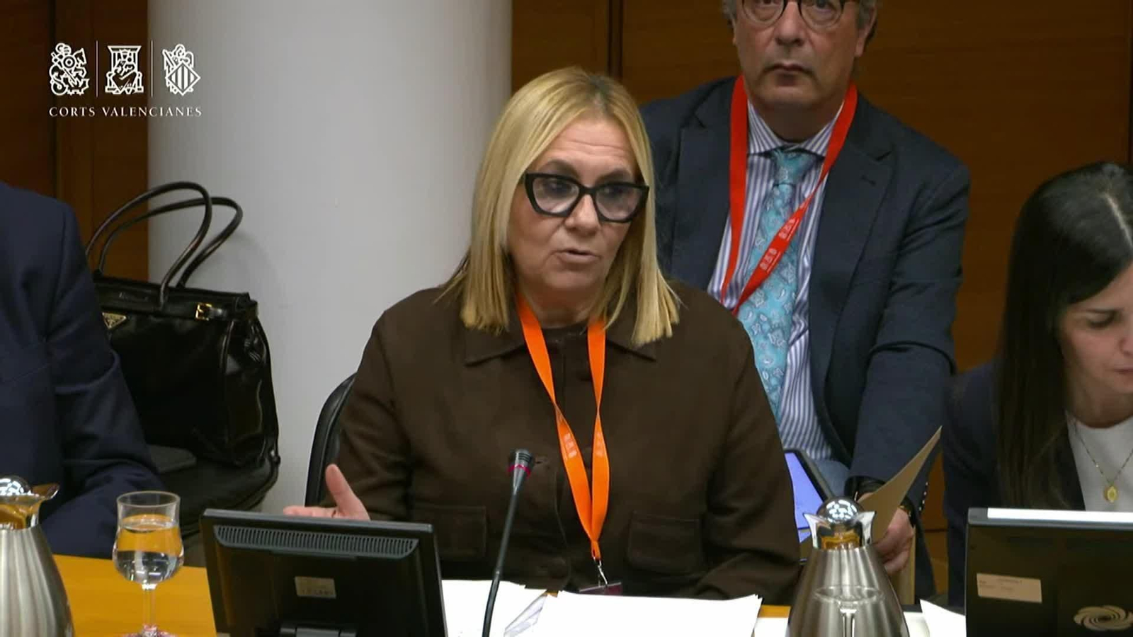 va victimas dana comision corts