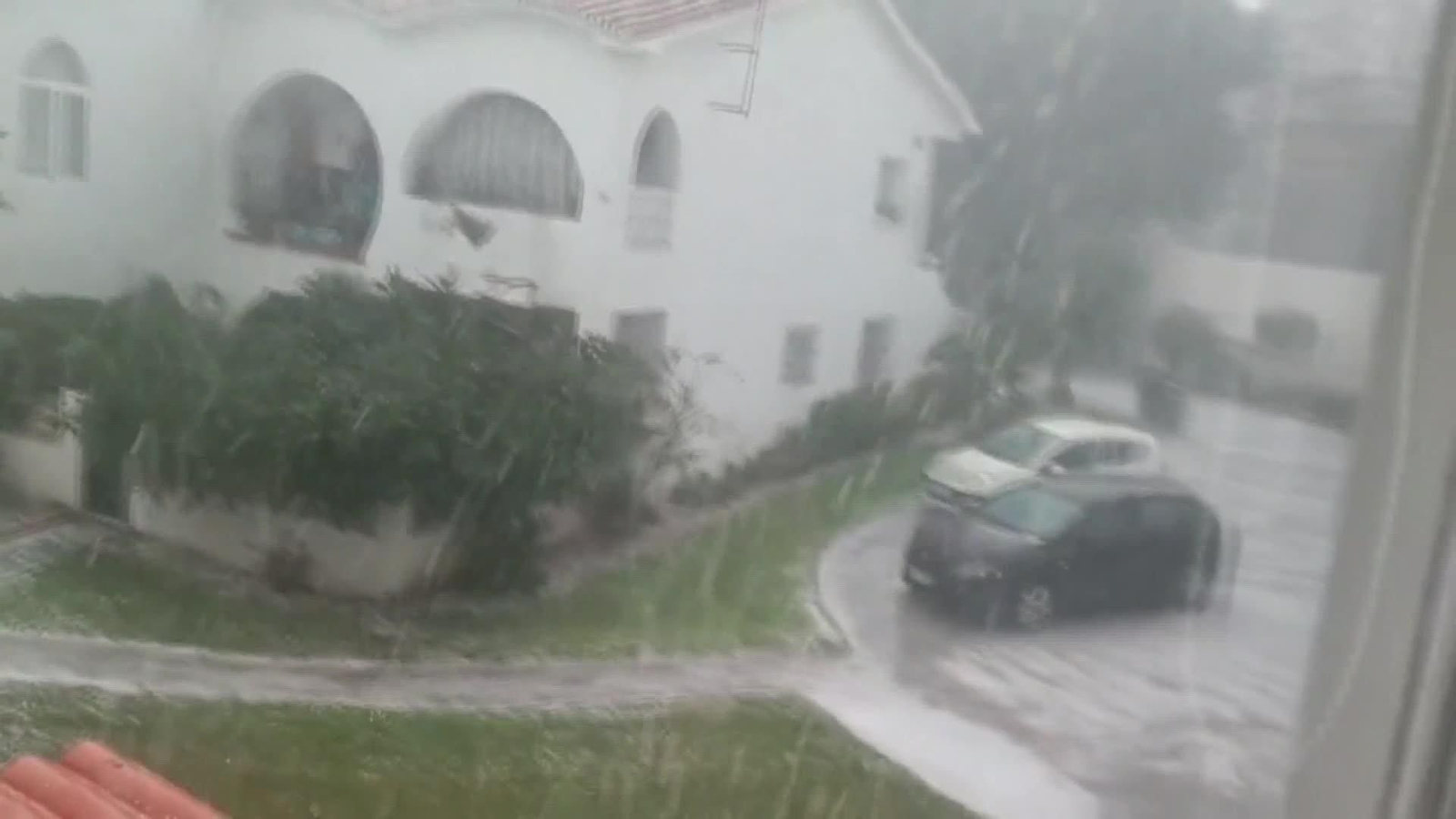 web daños granizo ok