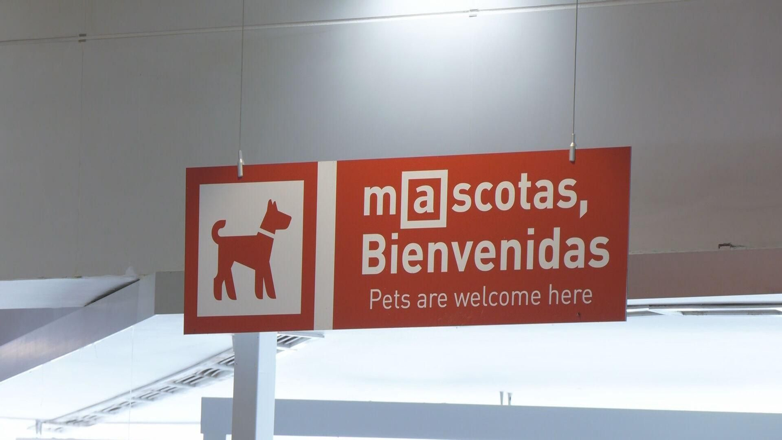 web areas servicio perros