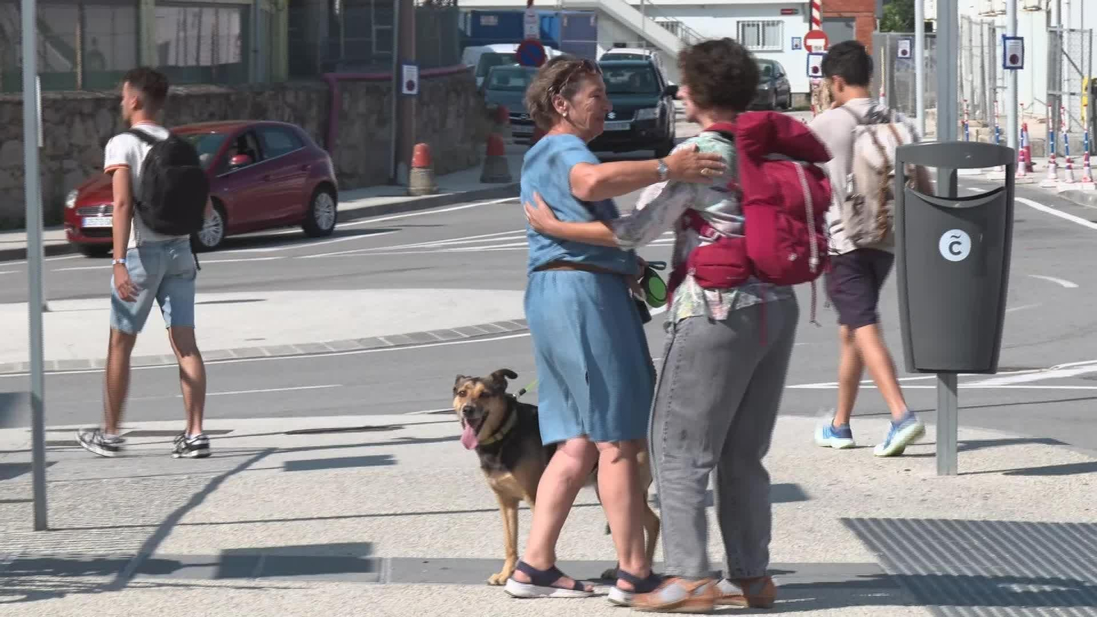 M041-VARIOS VIAJAR CON PERROS EN EL TREN