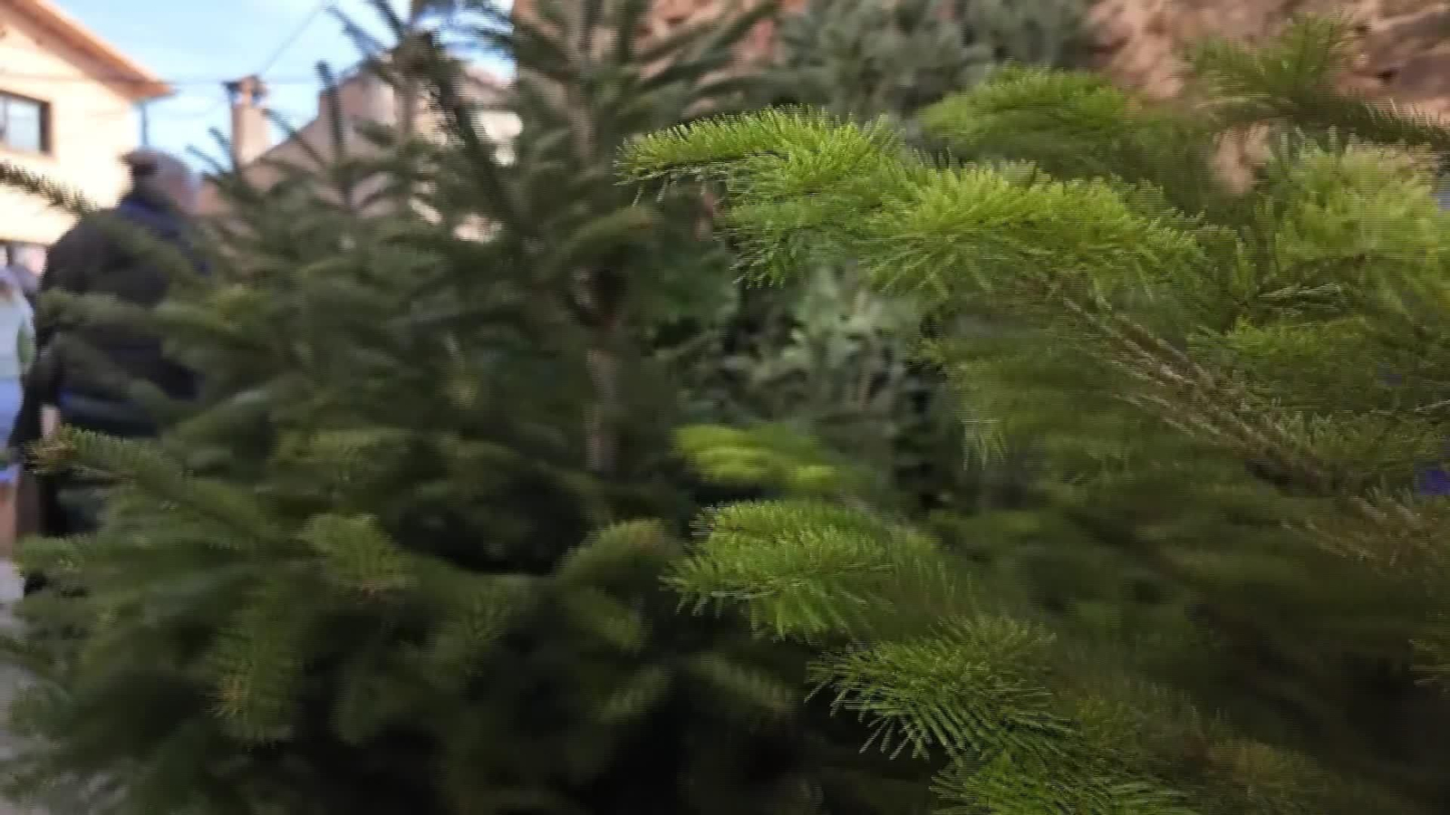 D030-GIRONA FERIA DEL ABETO ESPINELVES